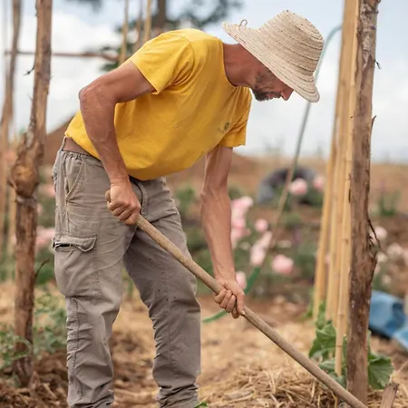 农家乐 Mastrojanni Relais