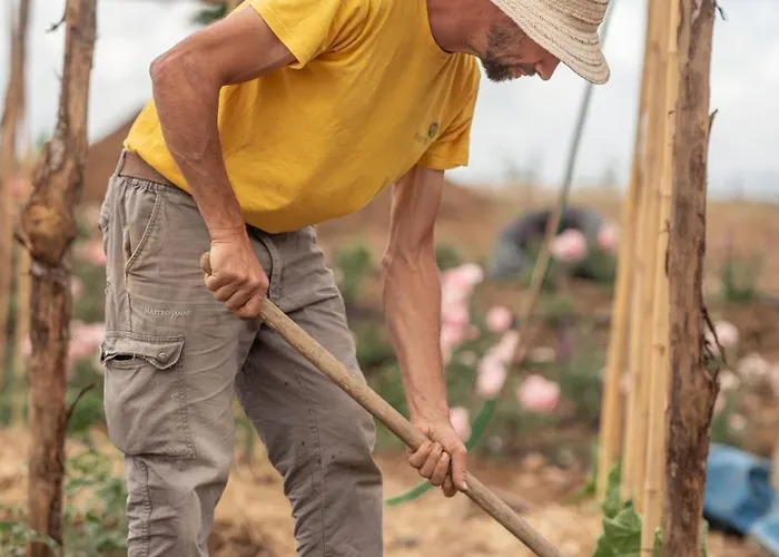 Vakantieboerderij Mastrojanni Relais